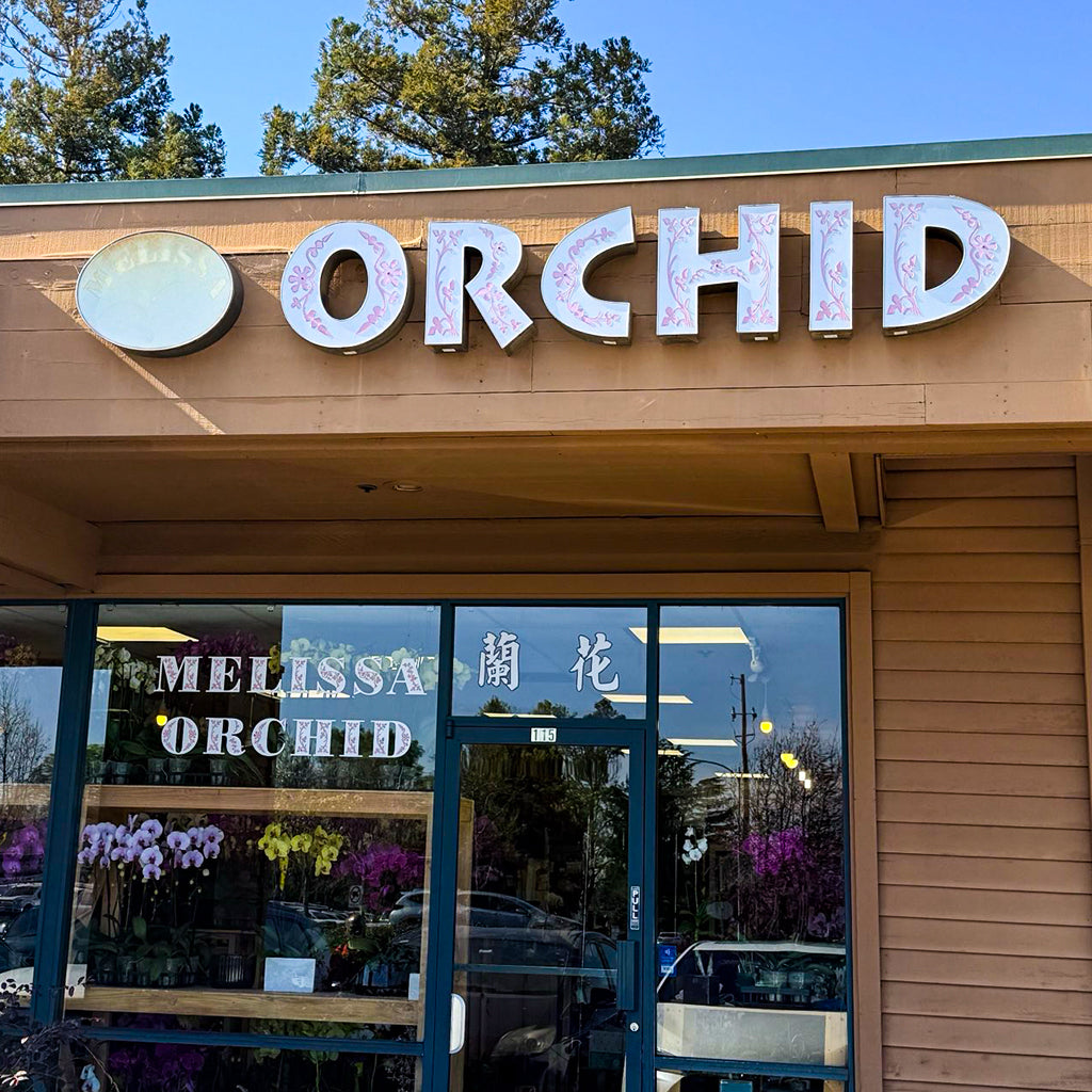 Melissa Orchid花店 全部鮮花享9折優惠