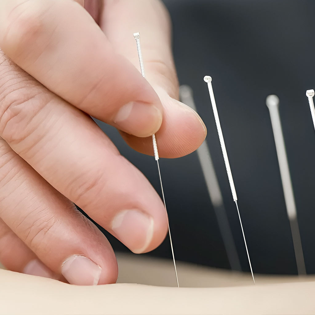 長春醫健堂 Fremont |  免費診療體驗 價值$140 | 中醫專家王森