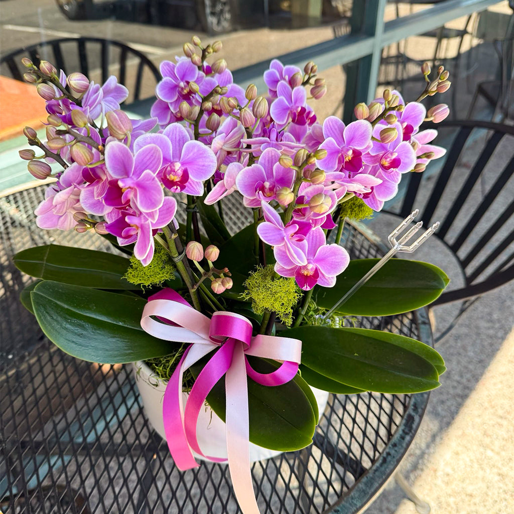 Melissa Orchid花店 全部鮮花享9折優惠