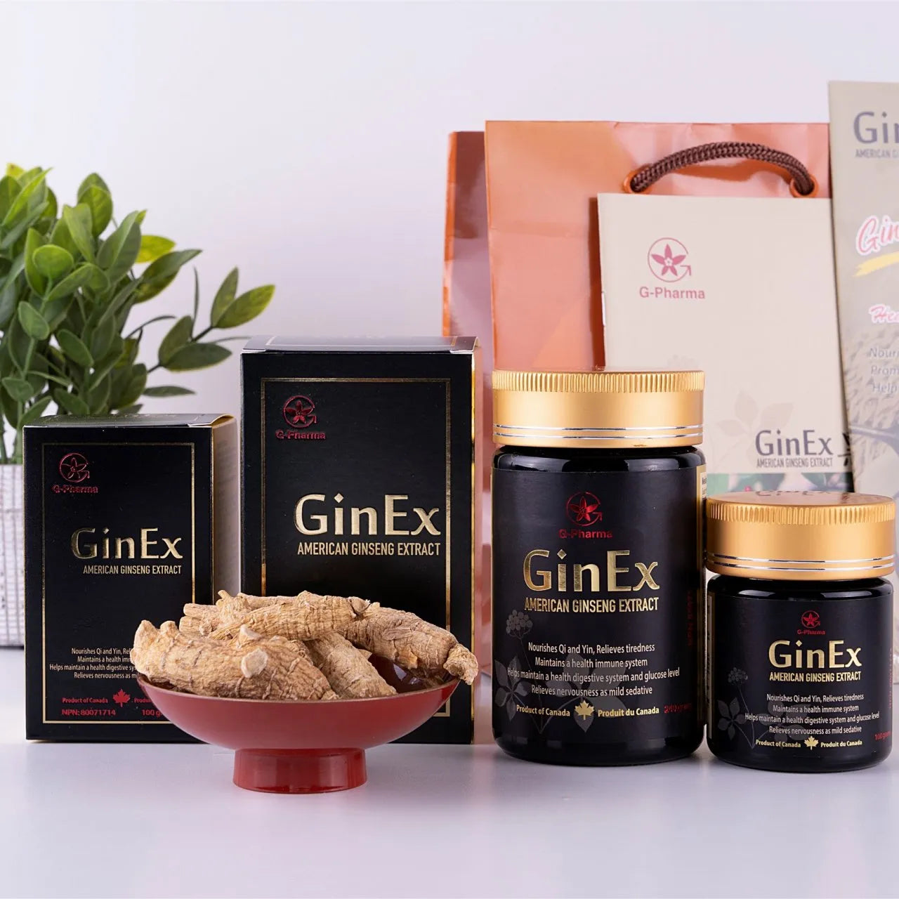 GinEx® 西洋蔘黑膏滋 (純膏劑-100g)x2瓶